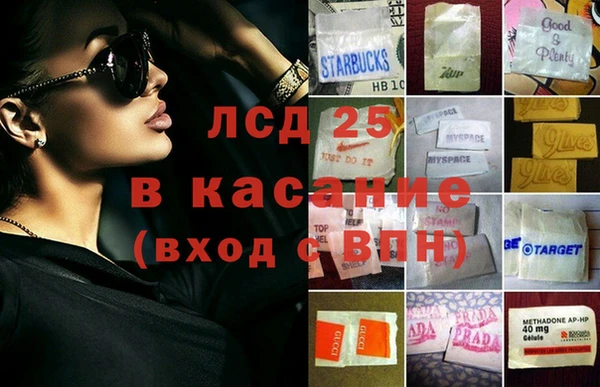 PSILOCYBIN Липки
