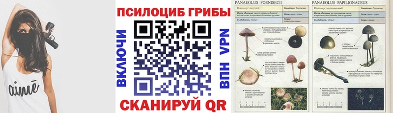 Псилоцибиновые грибы Cubensis  Спас-Клепики 
